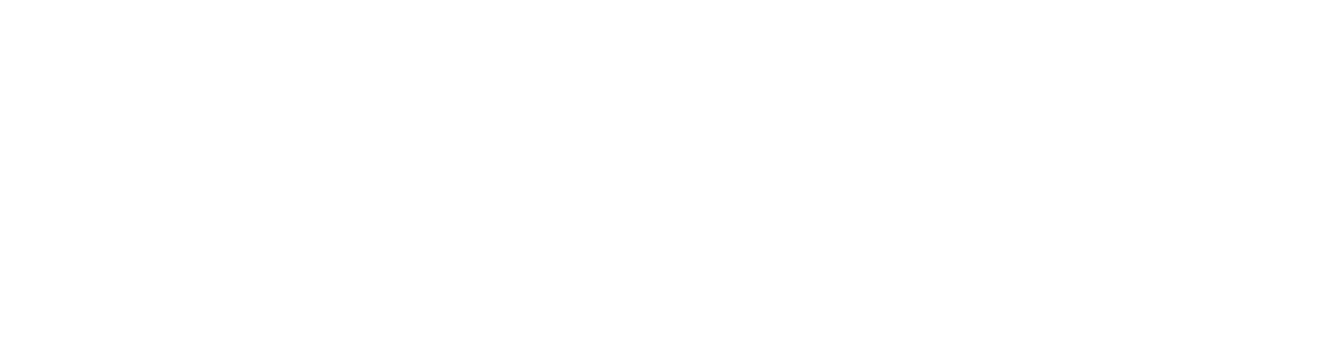 AirmaxLogoBranco